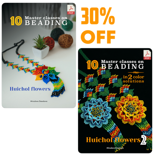 2 eBooks «HUICHOL FLOWERS»